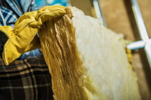 Best Attic Insulation Installation  in Steele, AL